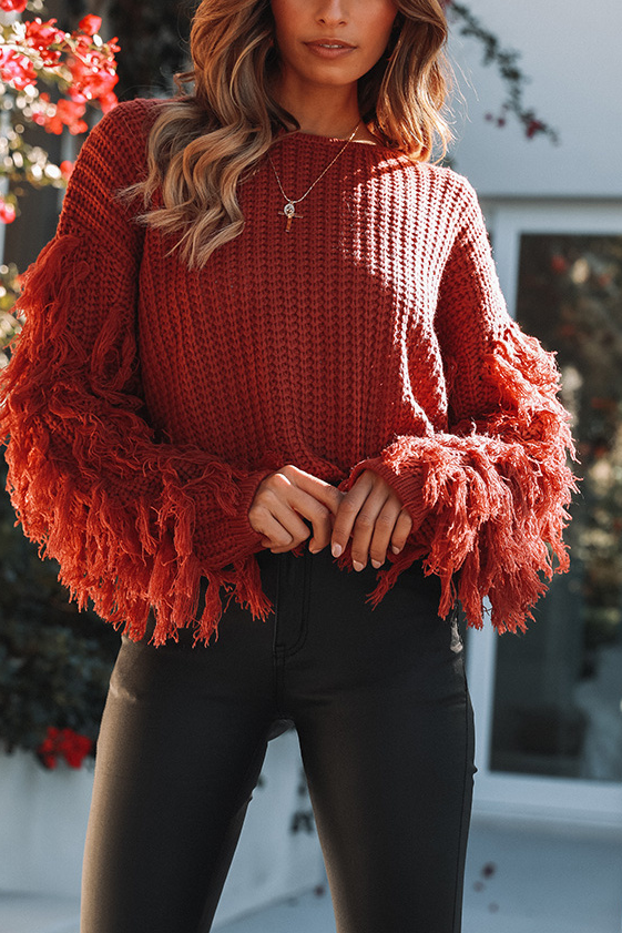 Fashion Round Collar Tassels Long Sleeves Plain Knitting Sweater1