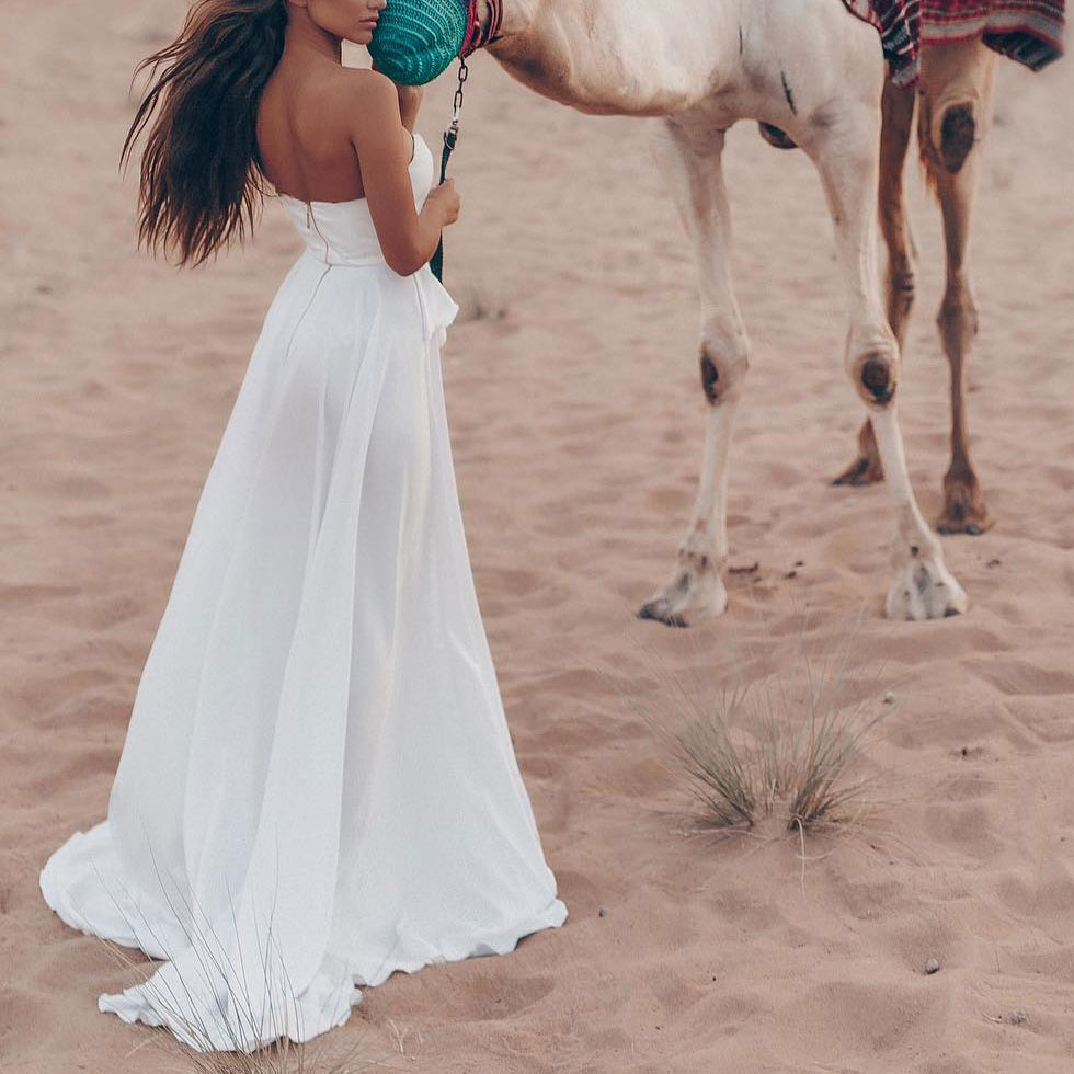 Camel style photo